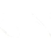 Напольная плитка Laparet Golden 120х60, statuario glossy